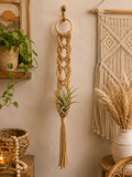 Wall Air Plant Hanger